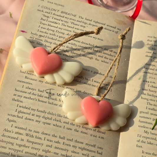 Little Winged Mini Wardrobe Freshener- set of 2